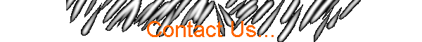 Contact Us...
